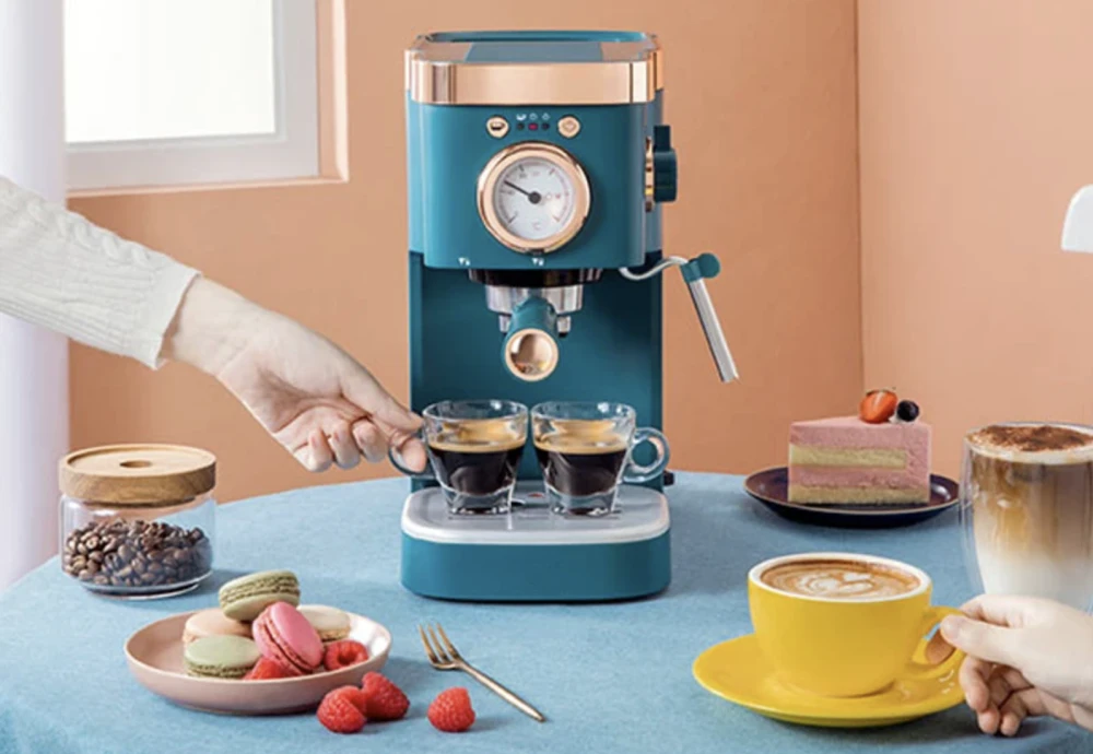 cappuccino and espresso maker