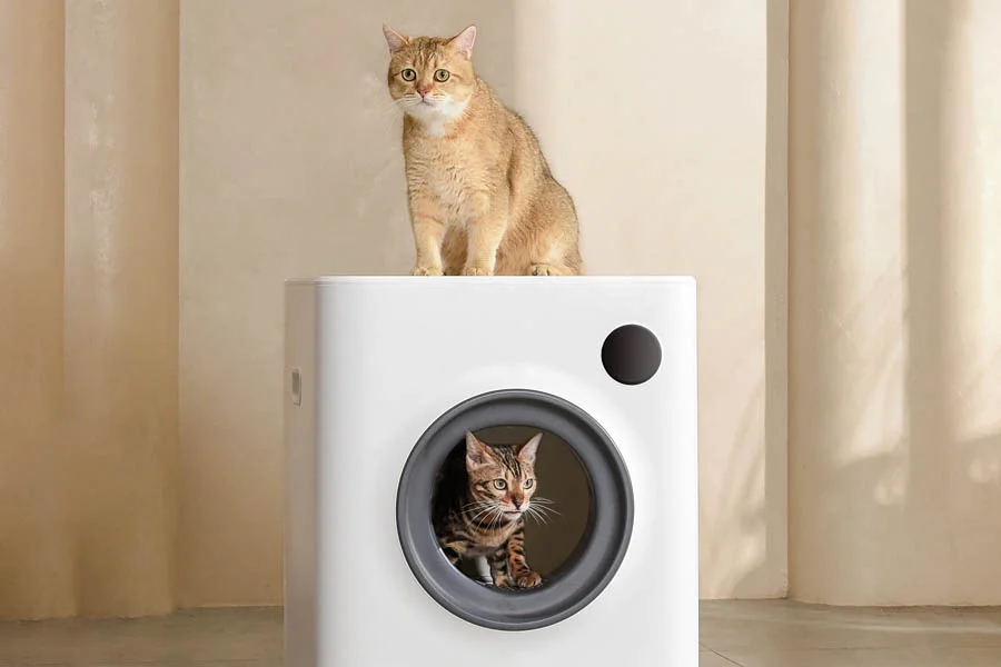 best litter box for two cats